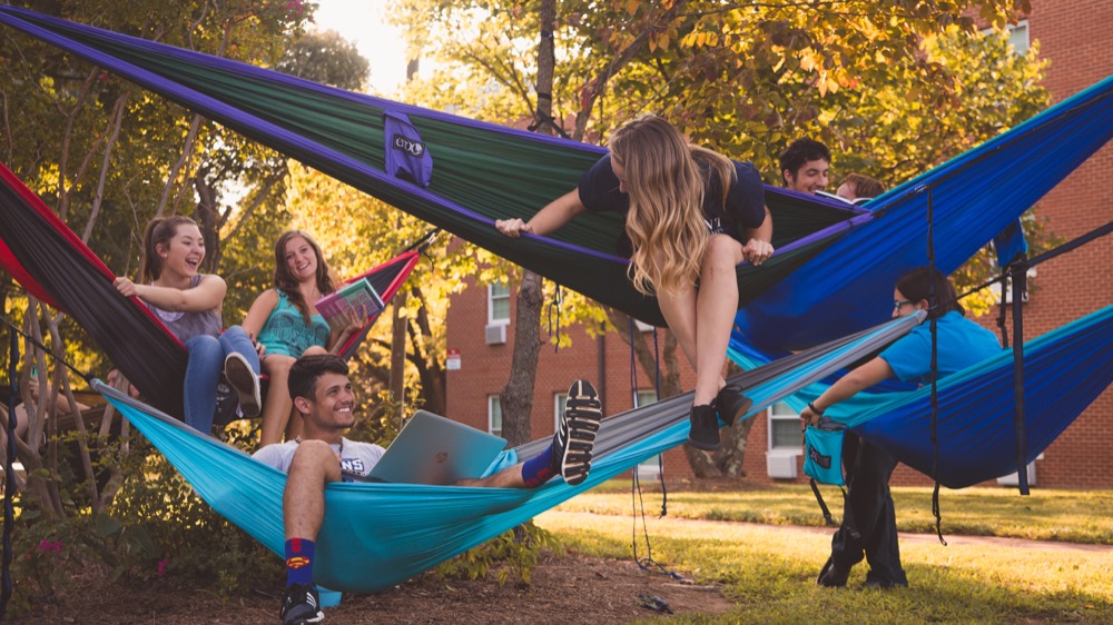 Students sitting in hammocks