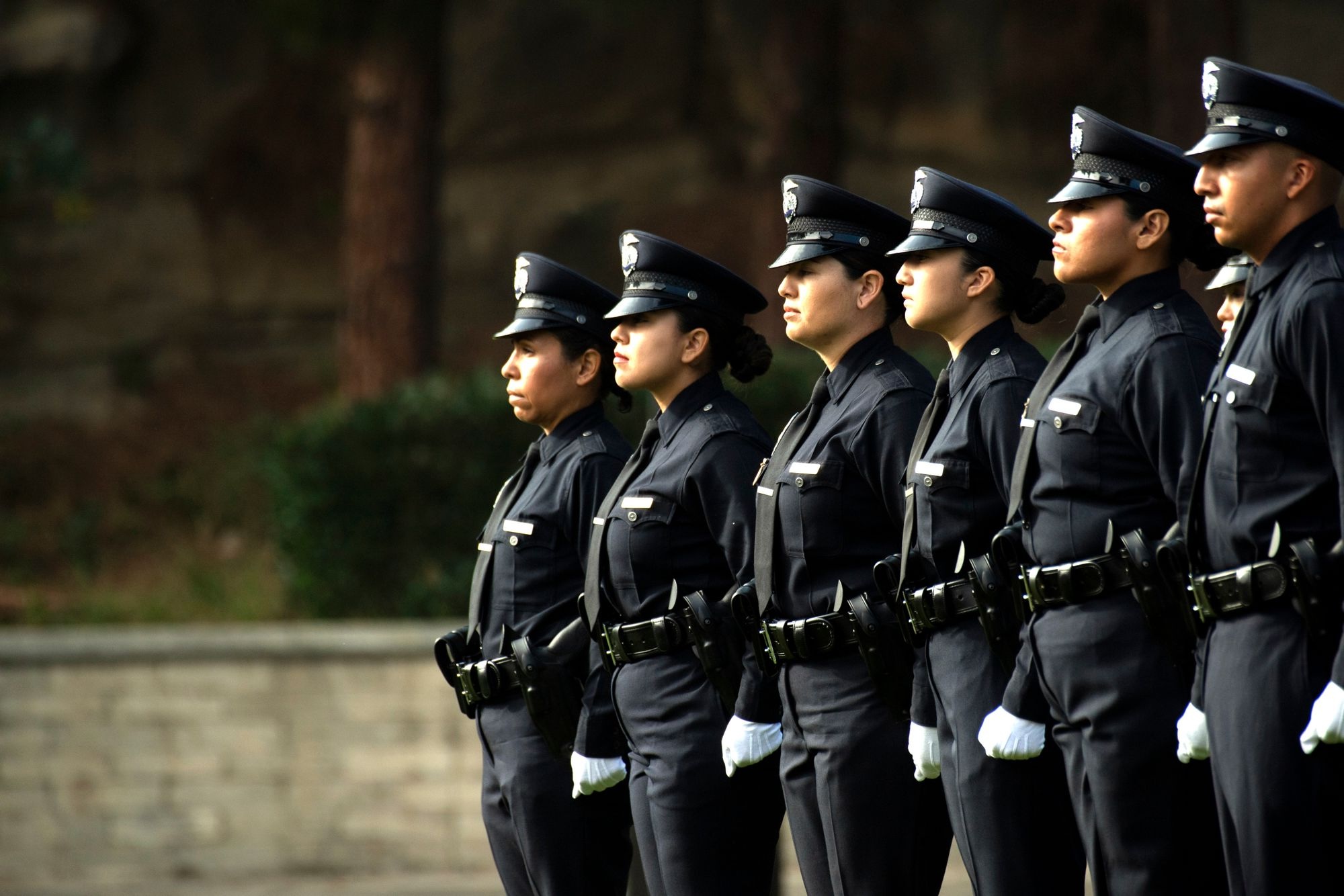 police officers in a line